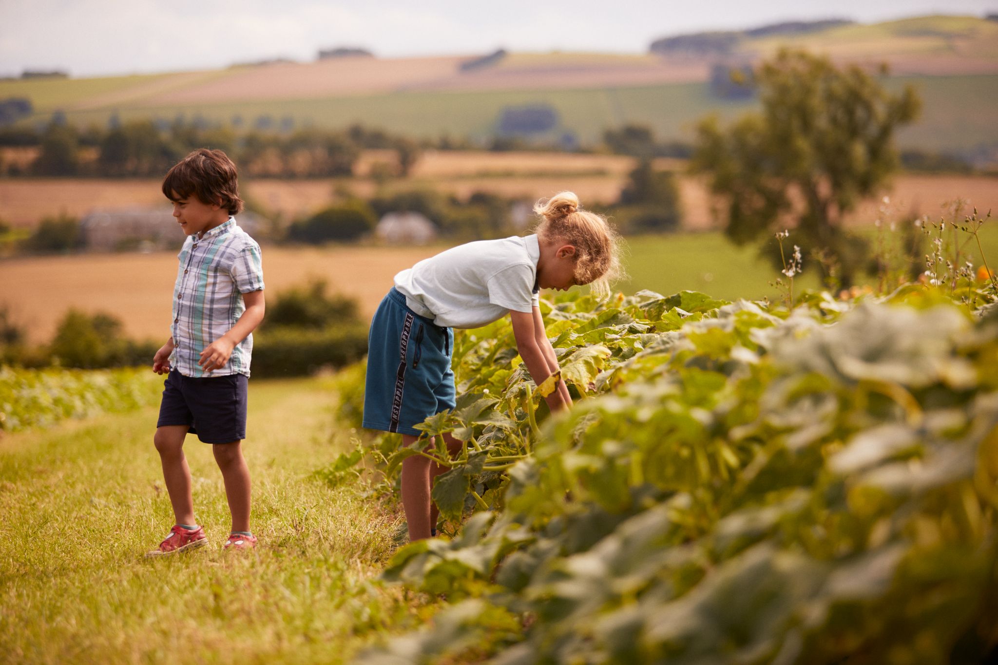 Cairnie Fruit Farm