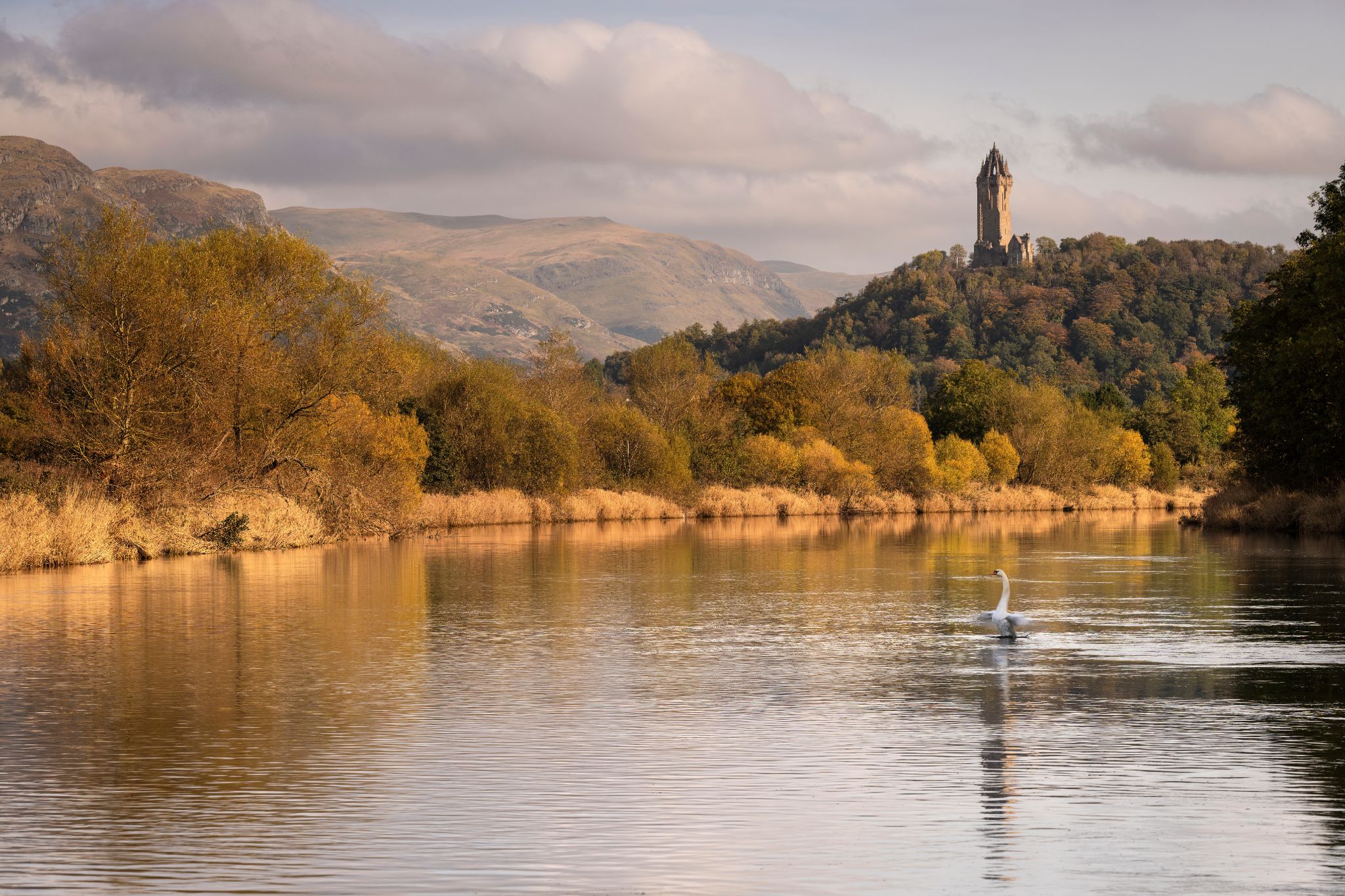 The National Wallace Monument, Stirling