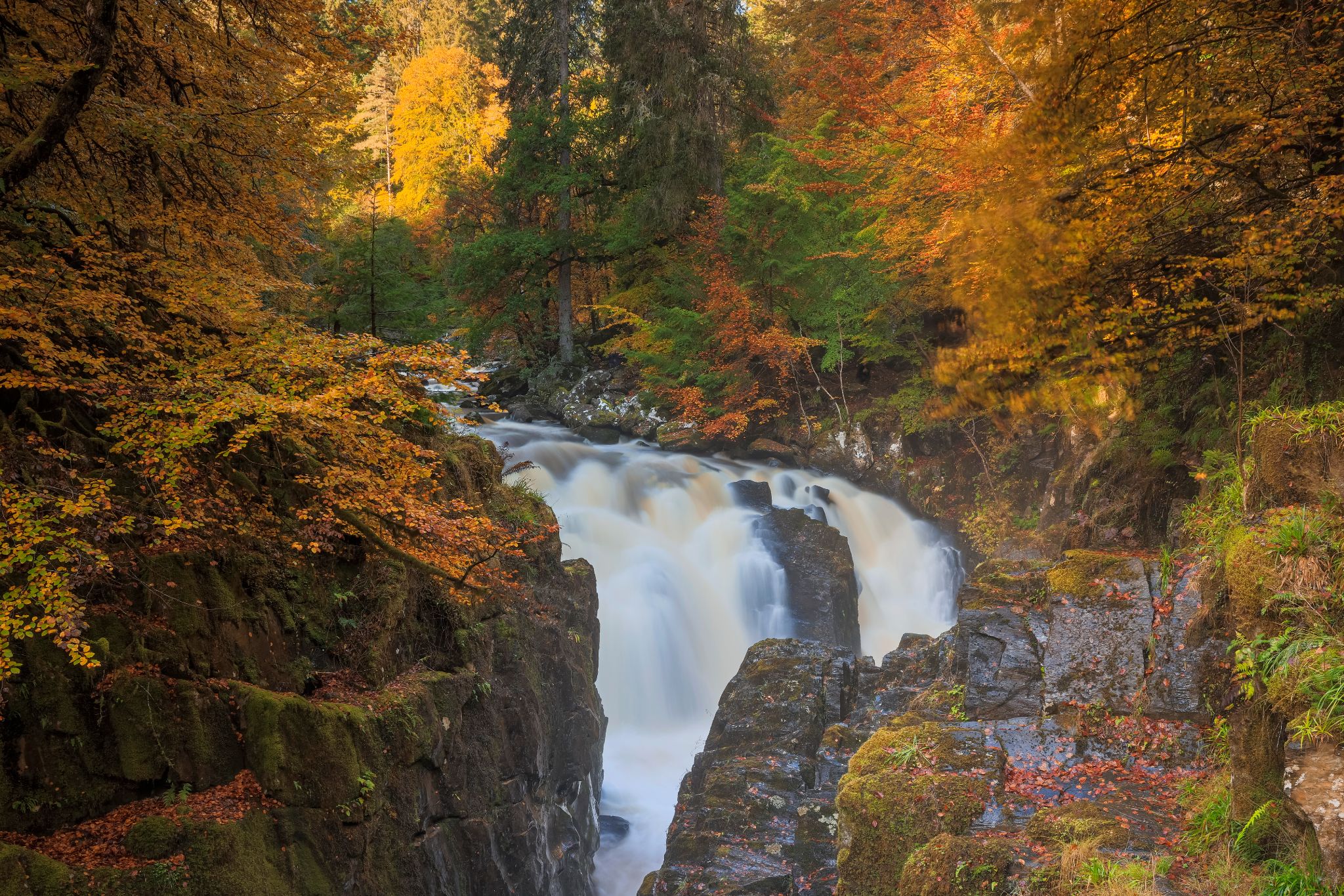 Black Linn Falls at The Hermitage, Dunkeld