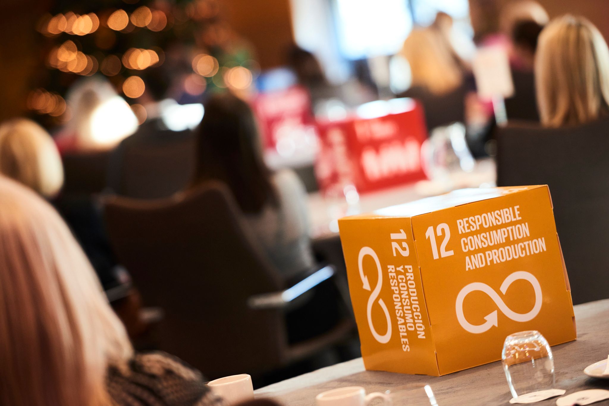 UN Sustainable Development Goals cube