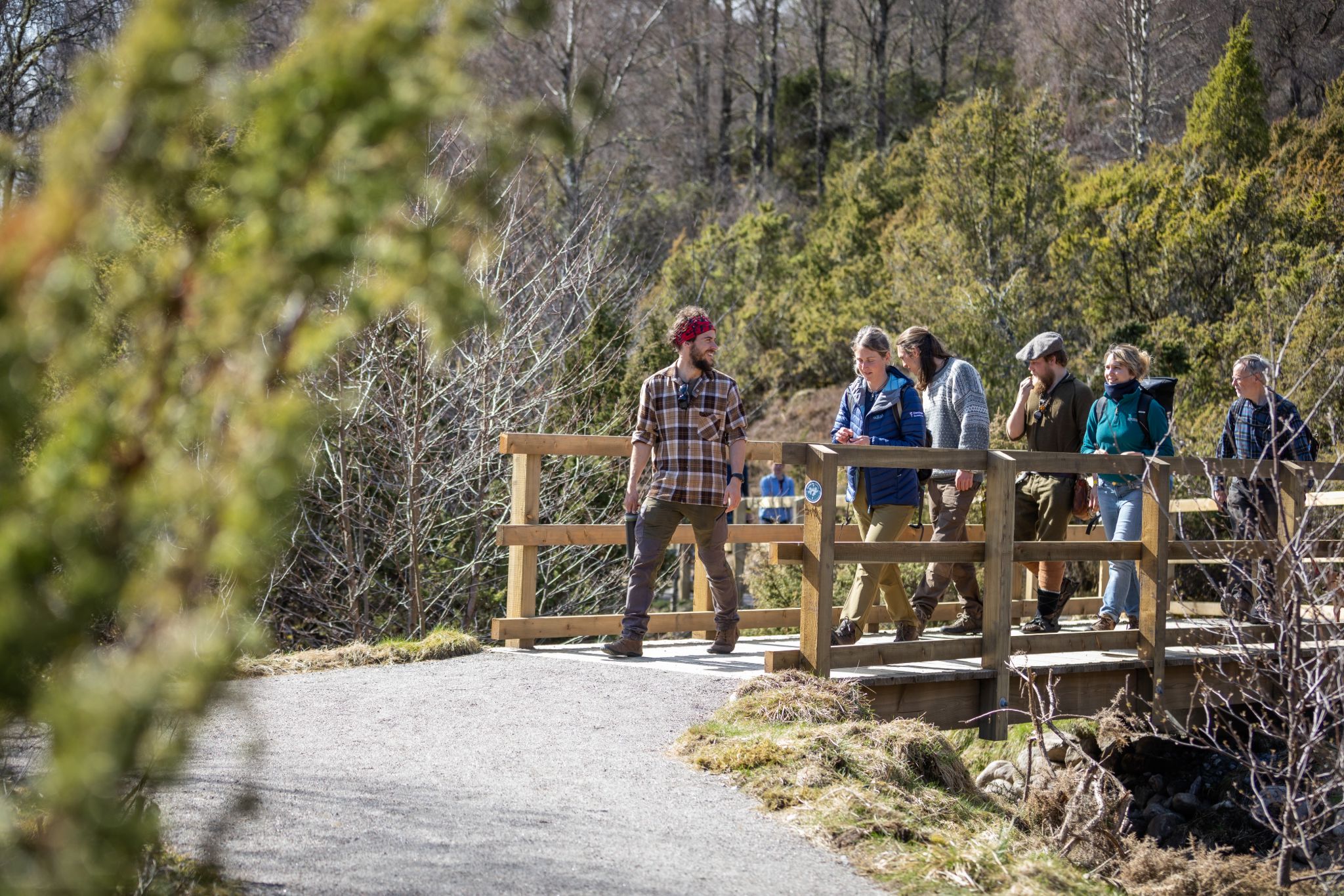 Dundreggan Rewilding Centre guided rewilding walking