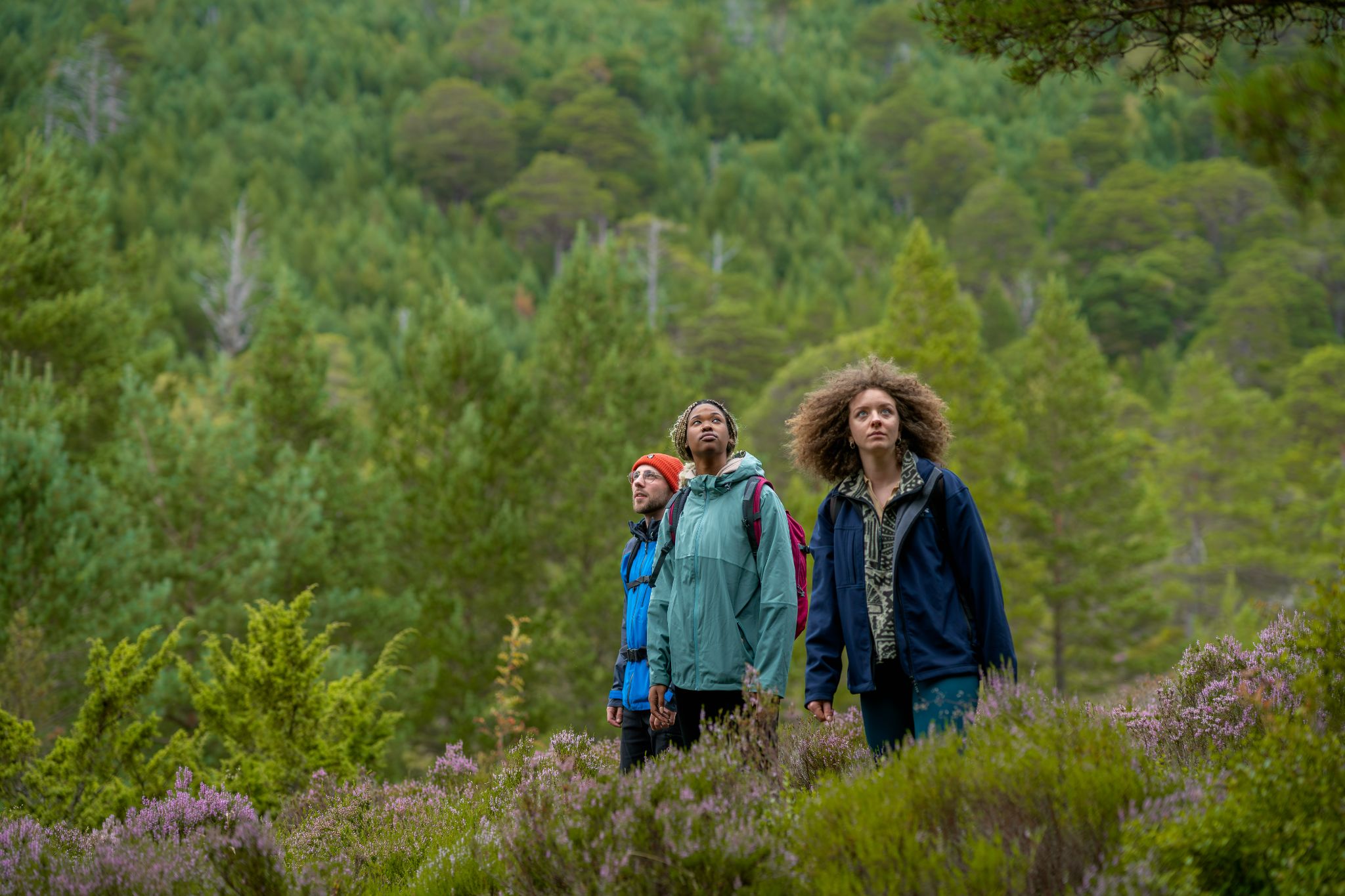 Cairngorms National Park