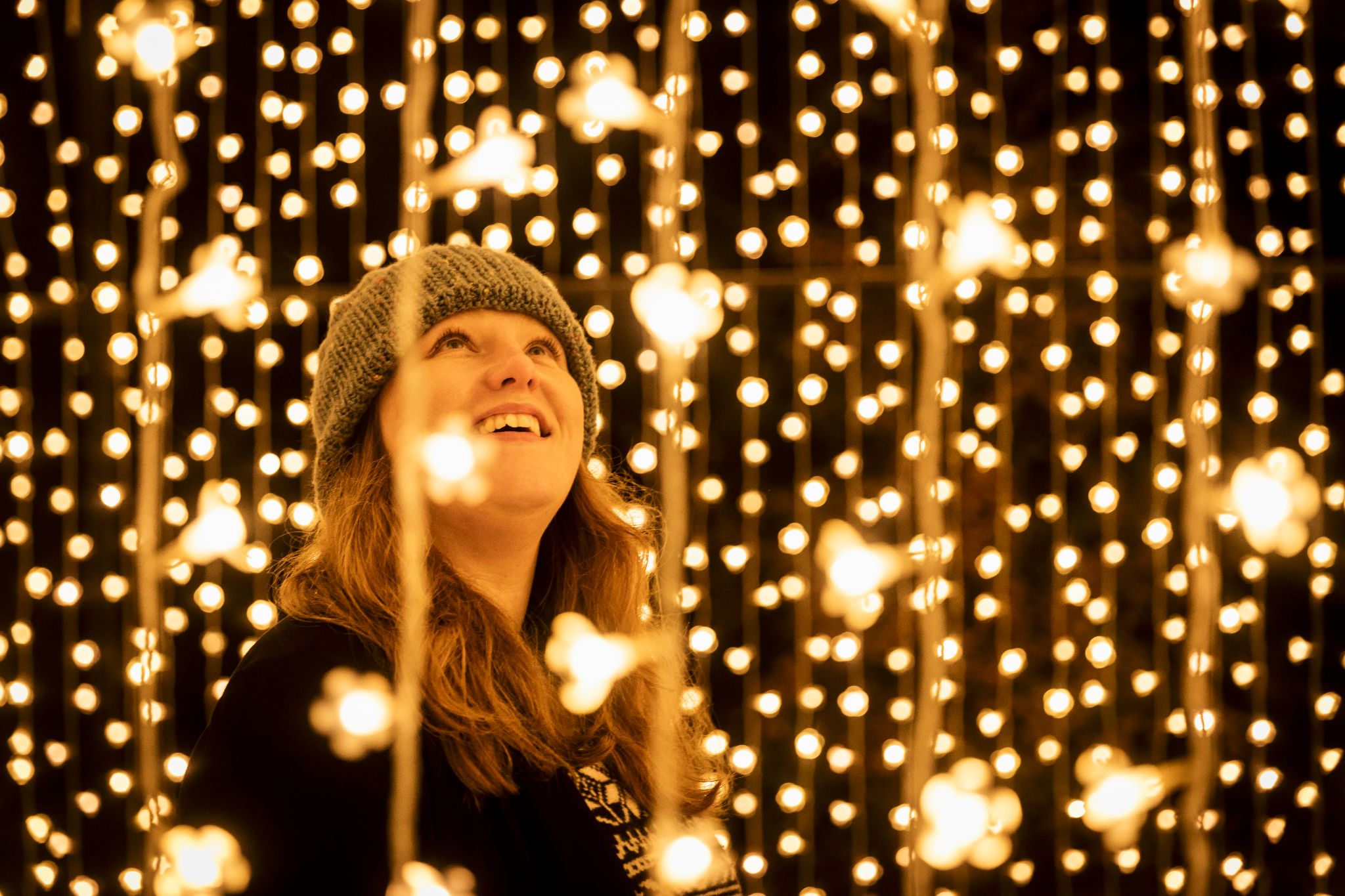 Christmas at the Botanics, The Royal Botanic Garden Edinburgh